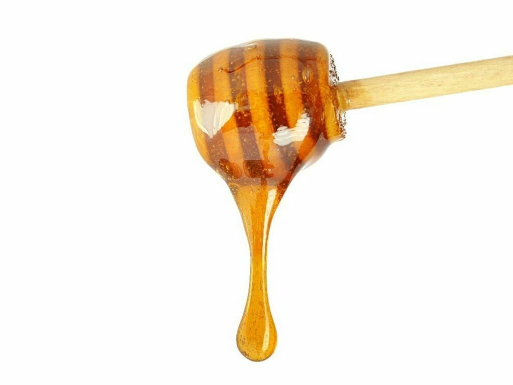 Miel de Forêt - 500gr
