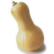 Courge Butternut   - DE - kg