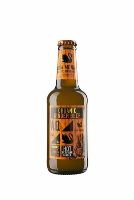 Ginger Beer - 23cl