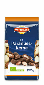 Noix du Brésil - 100gr