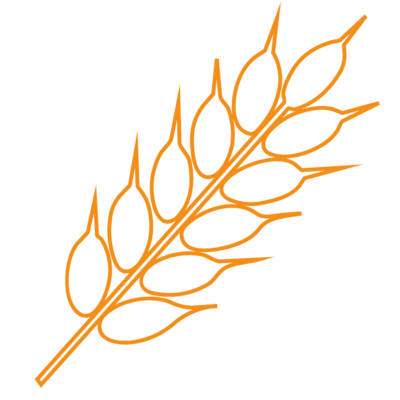 Épeautre
