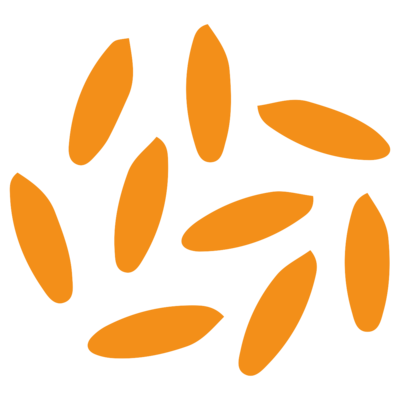 Riz