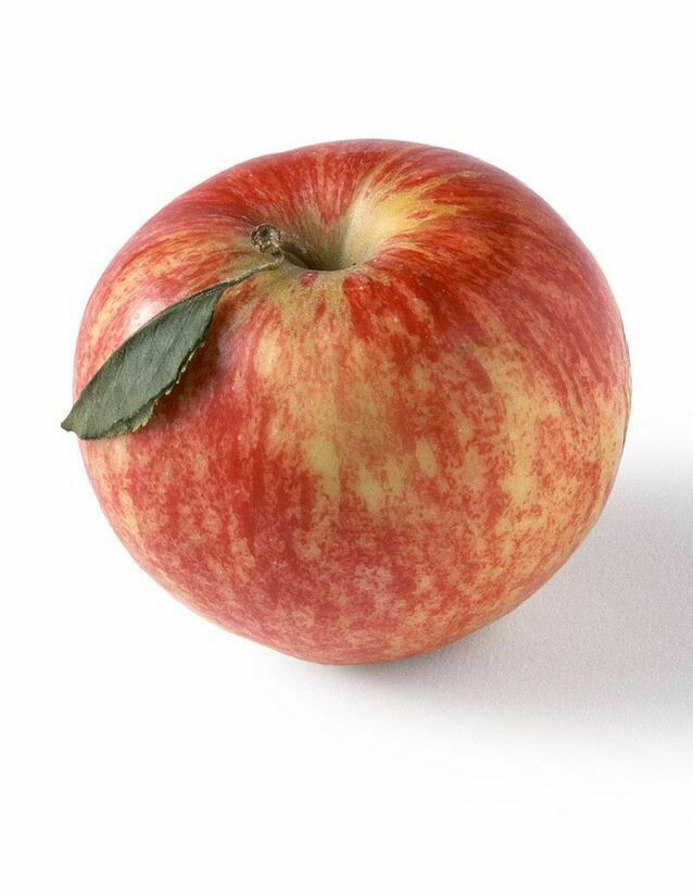 Pomme Boskoop 60+   - DE - kg