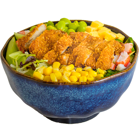 Pokebowl kip