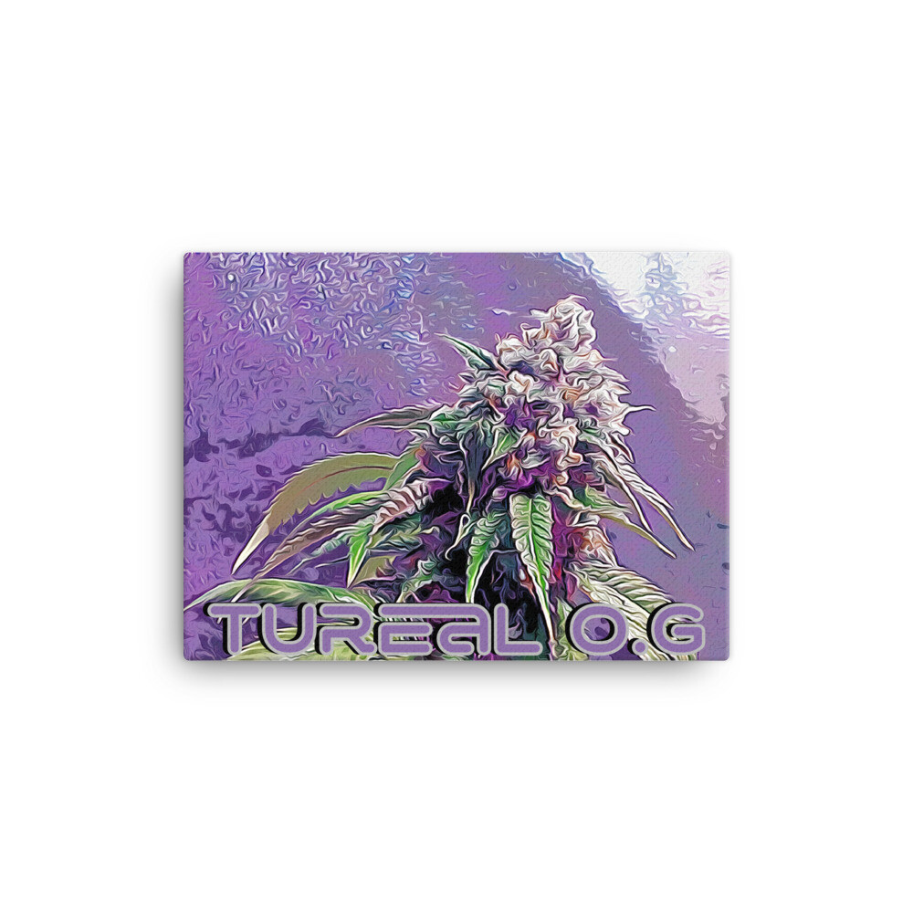 Tureal o.g Canvas