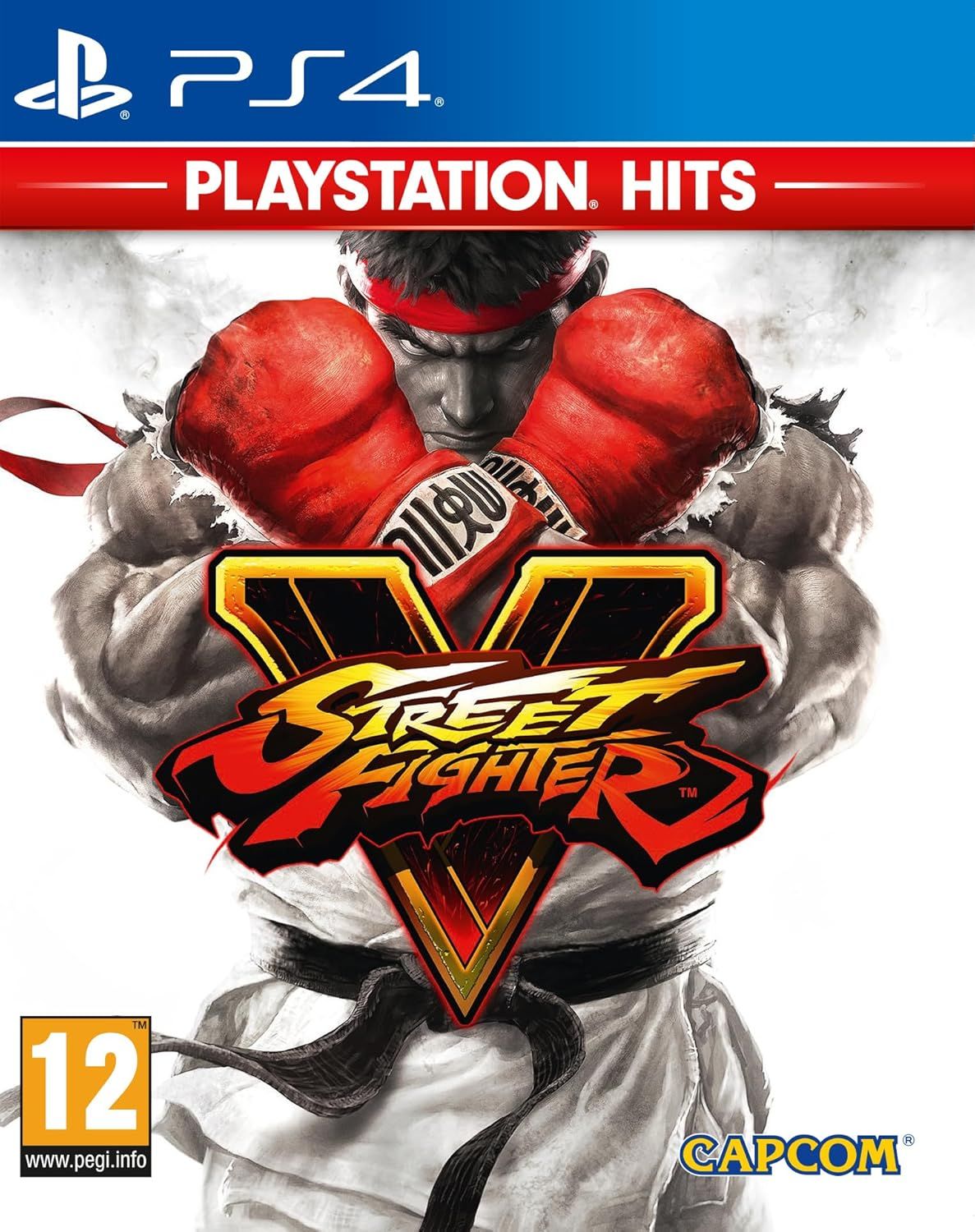 Street Fightrer V |PS4|