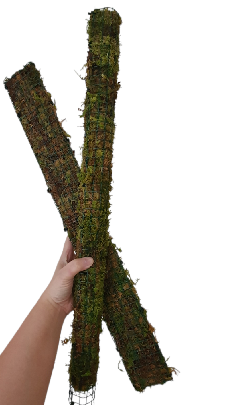 Duo Moss Pole &amp; Bar H60cm