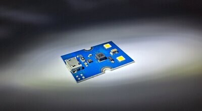 LED-Modul - 2 LED mit USB-micro (Typ B), 200 Lumen