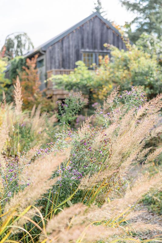 Swaying Field, Tangled Garden - Wolfville, Nova Scotia
