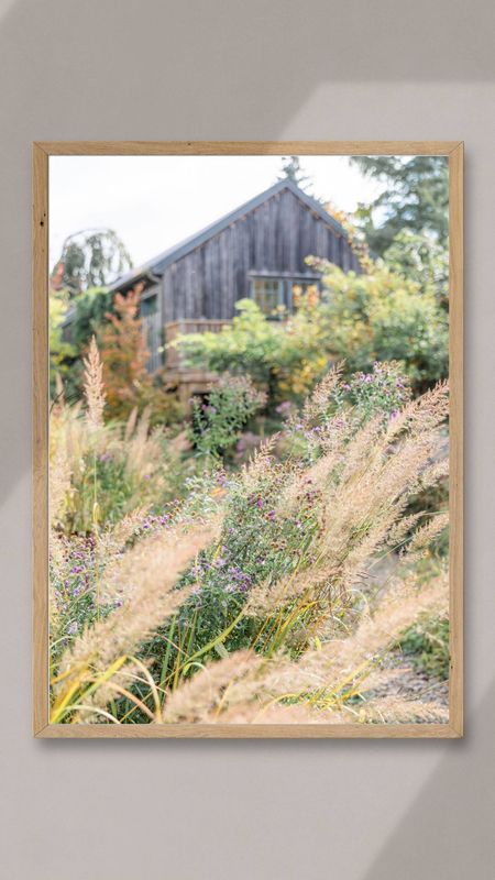 Swaying Field, Tangled Garden - Wolfville, Nova Scotia