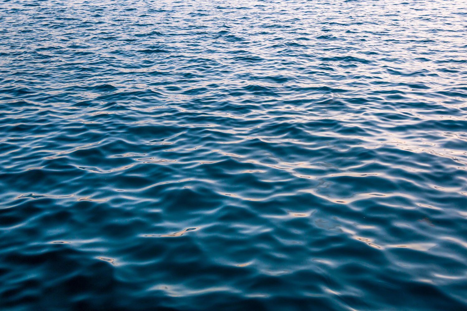 Deep Blue, Eastern Shore, Nova Scotia