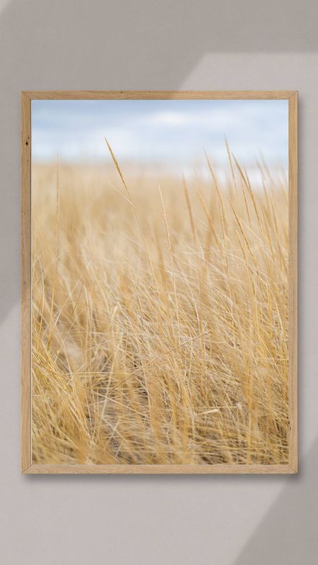 Winds of Conrad's Beach, Nova Scotia