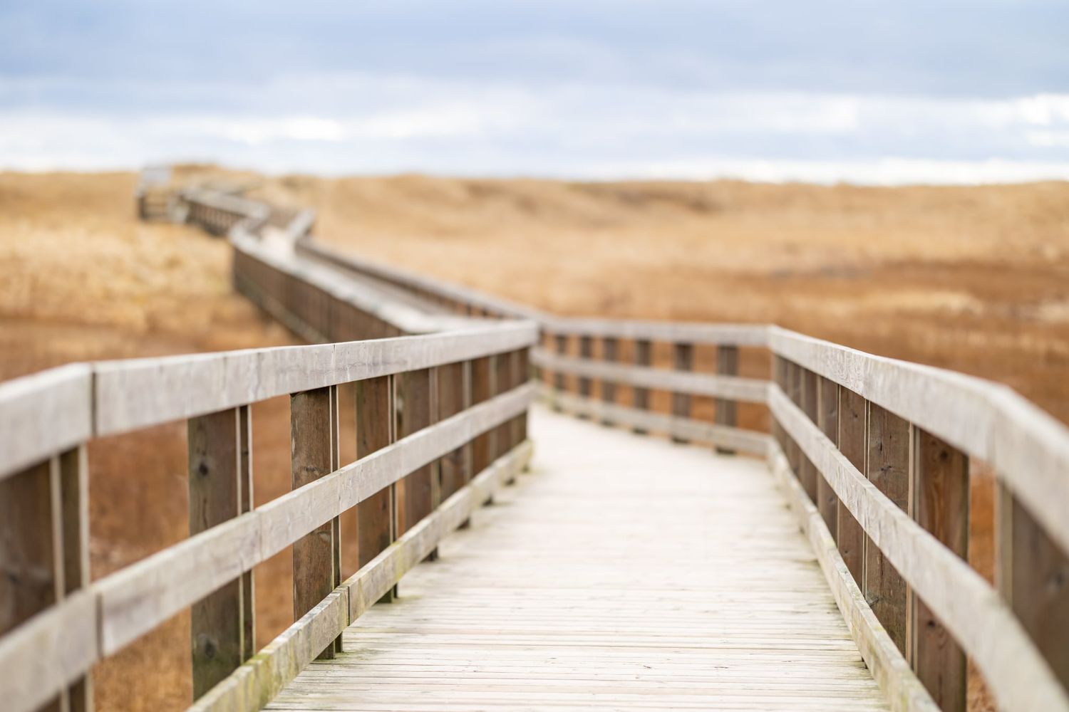 Conrad&#39;s Beach Boardwalk, Nova Scotia