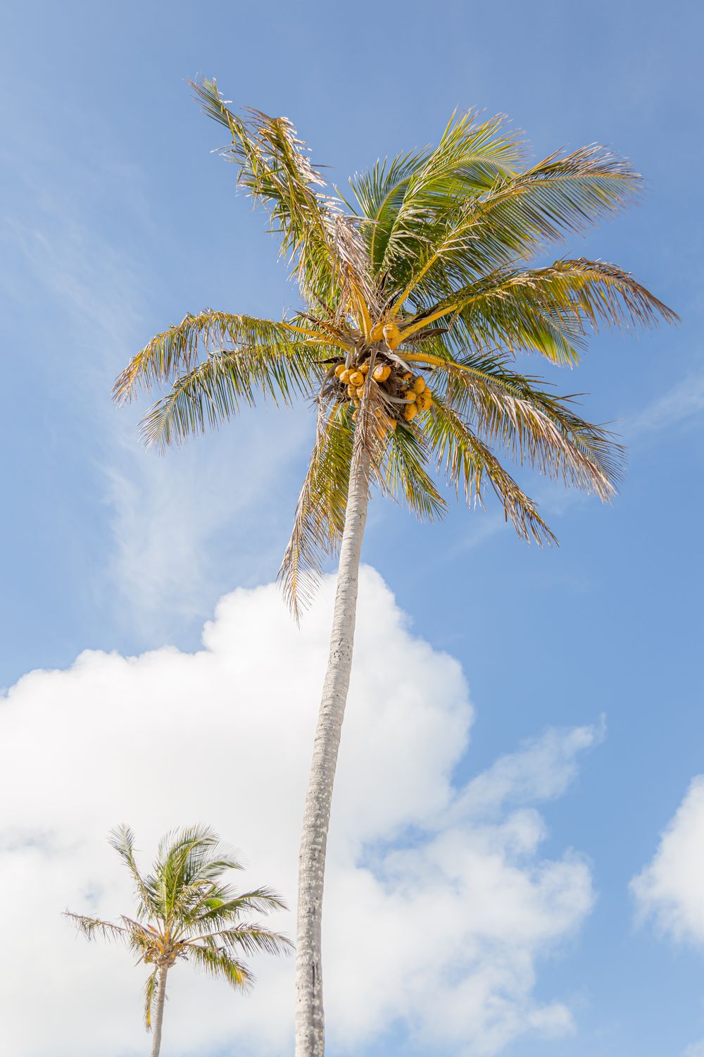 West Palm Beach, Florida