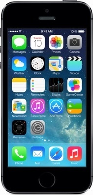 Apple iPhone 5s 16Gb (dark grey)
