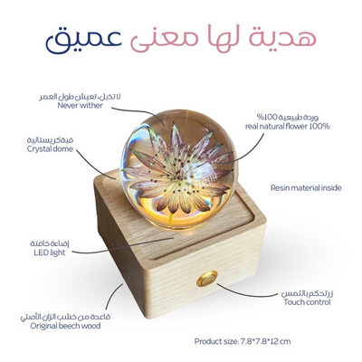 وردة بقبة كريستالية
