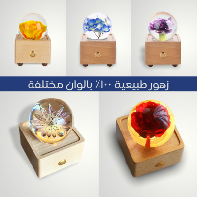 وردة بقبة كريستالية