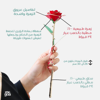 وردة طبيعية مطلية
