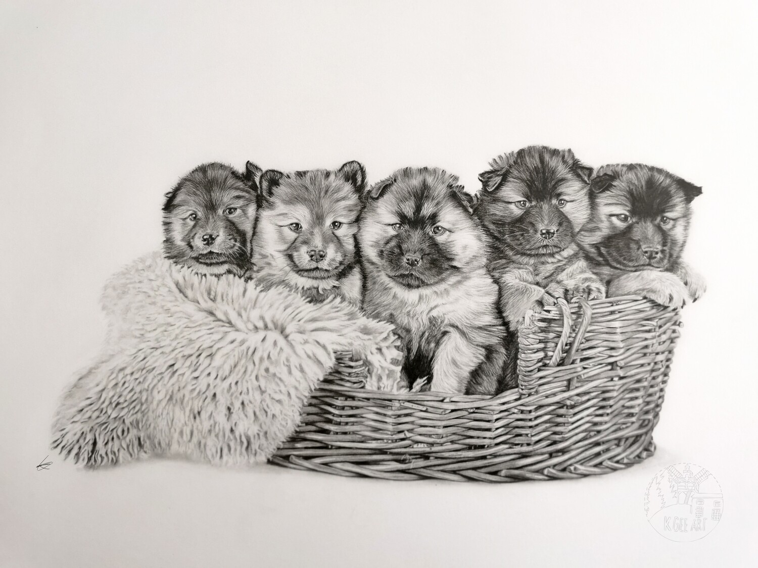 Original Puppies in basket A2