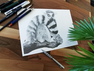 Original Lemur A4