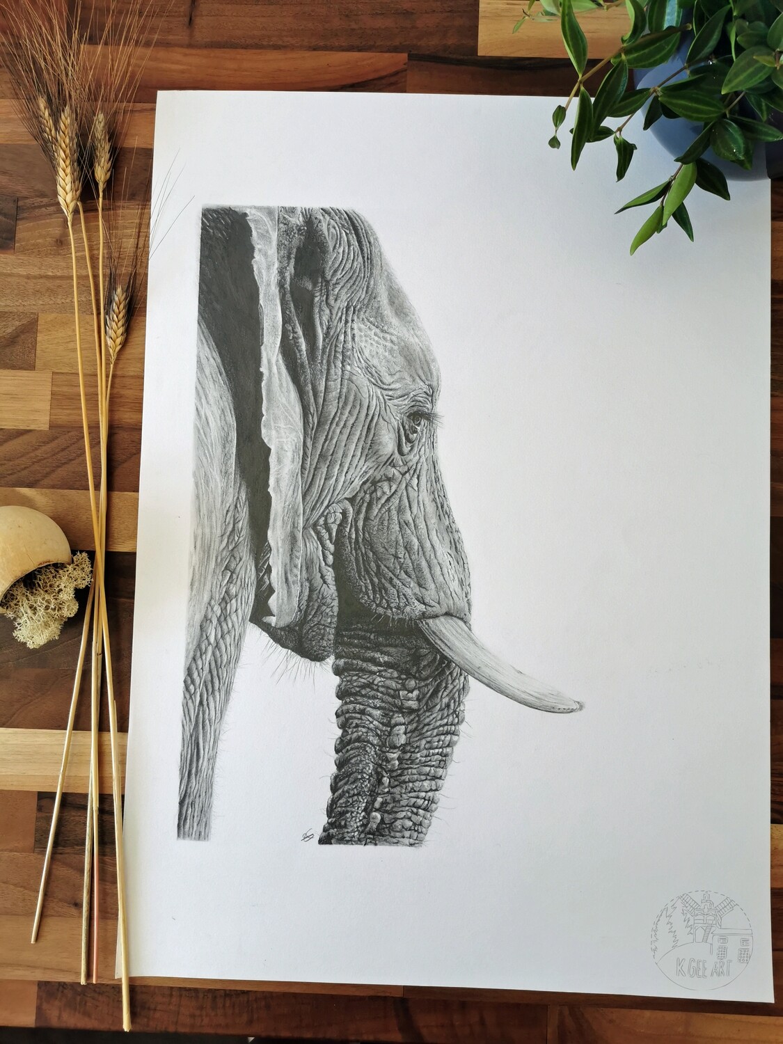 Original Elephant A2