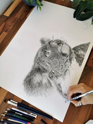 Original Koala A2