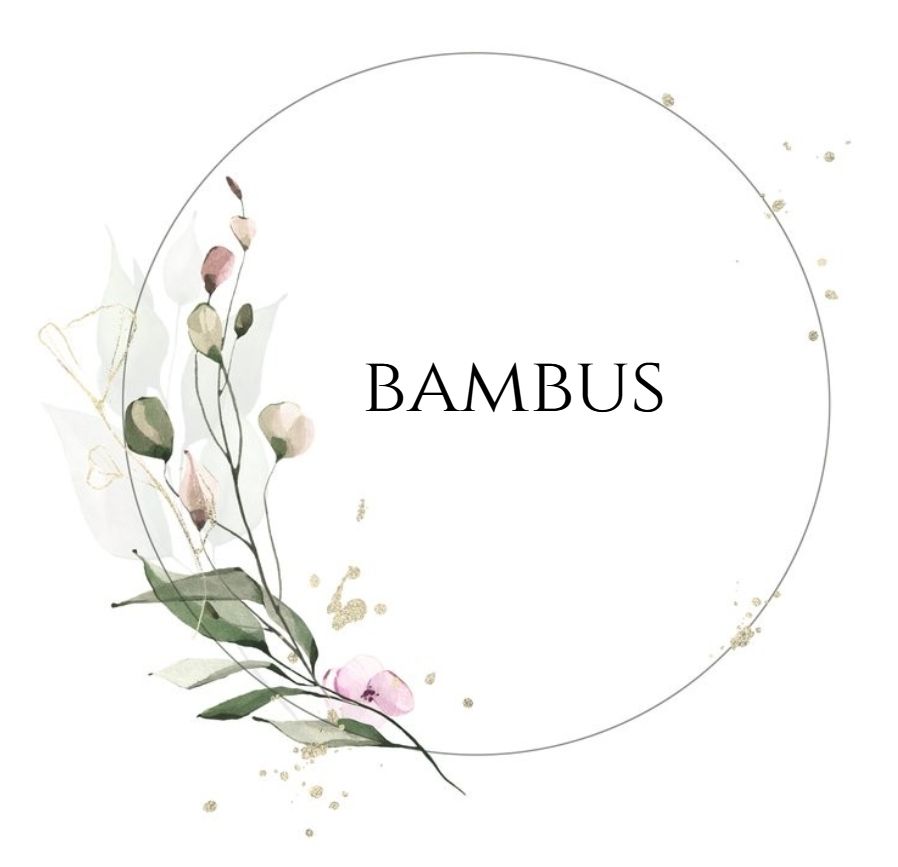 Bambus