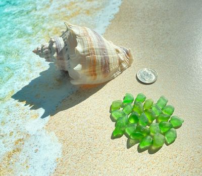 Genuine Beach Found Green Sea Glass