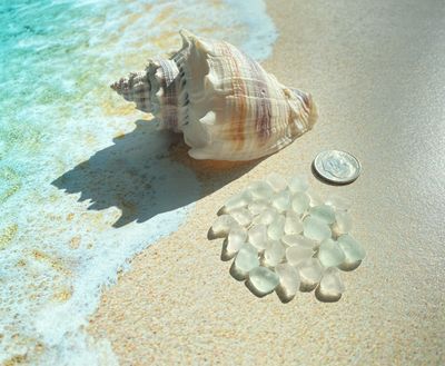 Genuine Raw White Sea Glass