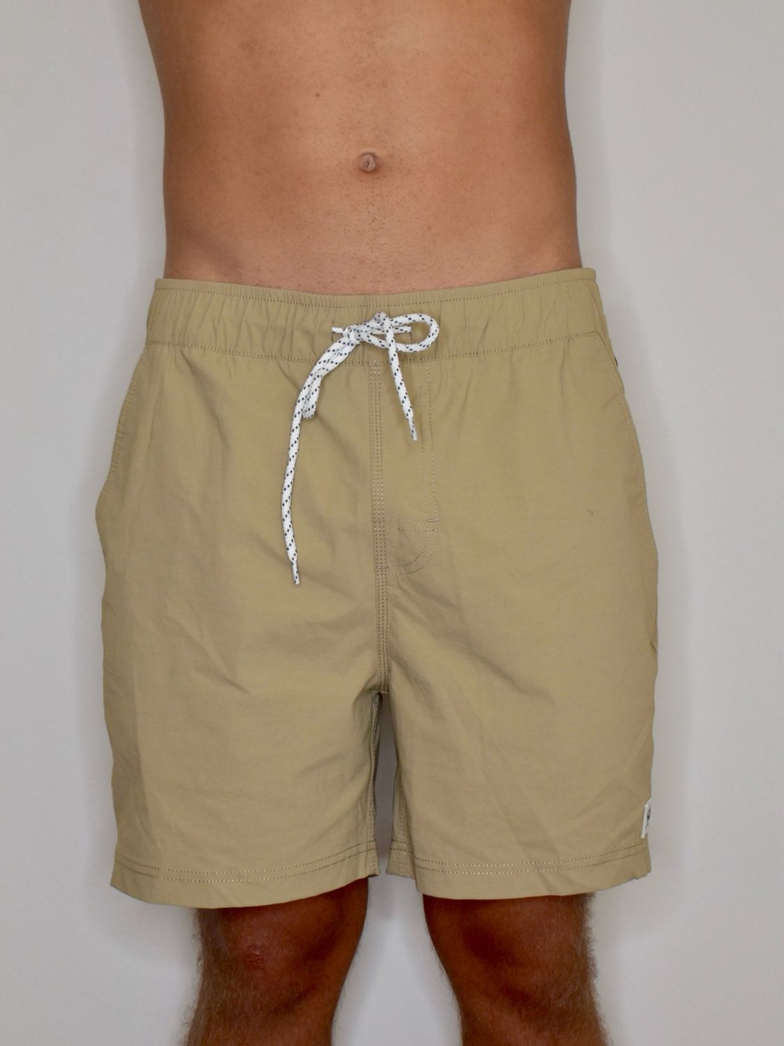 Ledge Swim Shorts