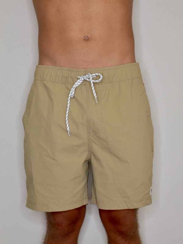 Ledge Swim Shorts