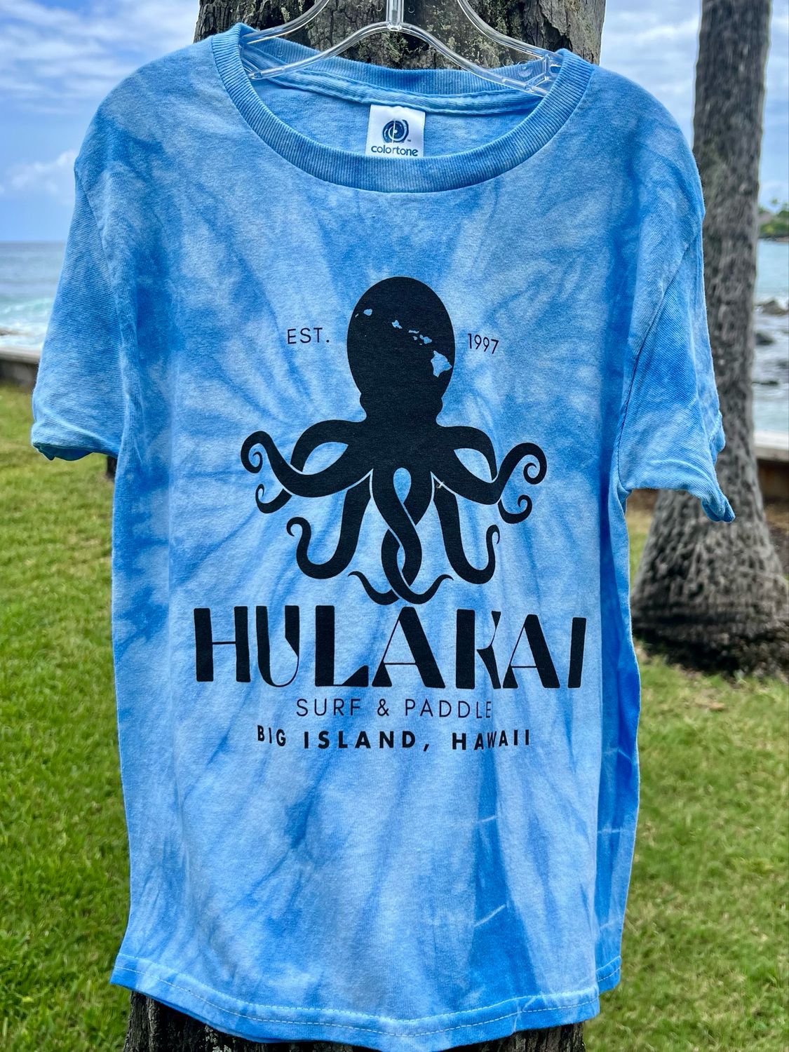 Octopus