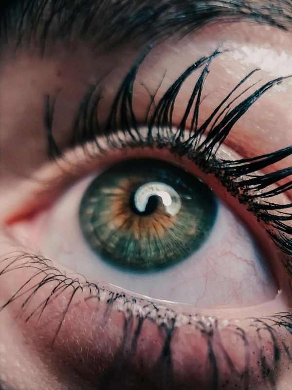 Kochkurs gesunde Augen 17.10.2026