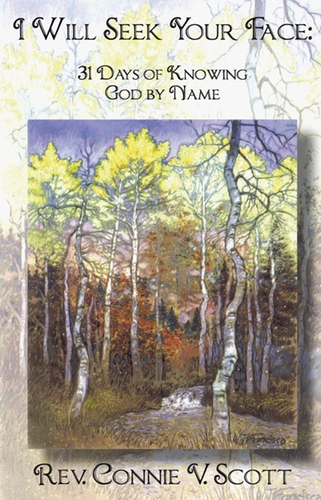 I Will Seek Your Face: 31 Days of Knowing God by Name (ePub)