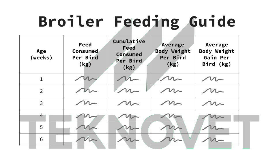 Broiler Feeding Guide