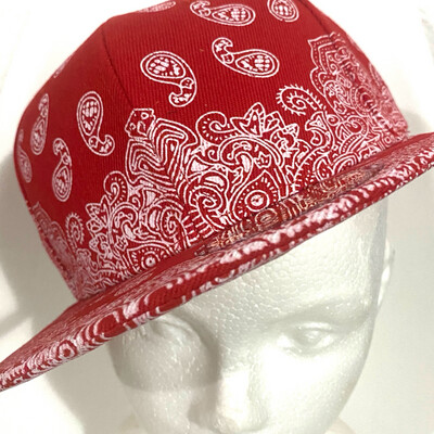 GORRA VICERA PLANA patrón paliacate ENVÍO GRATIS