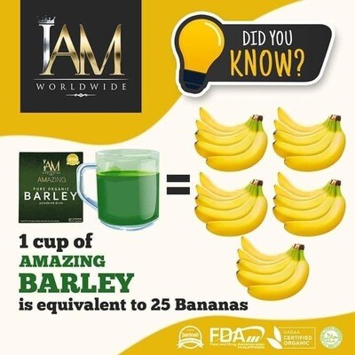 IAM Organic Barley