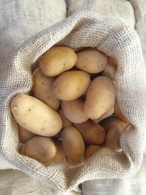 Pommes de Terre jaunes Allians (en salade, cuisson risolée et sautée, en robe des champs)