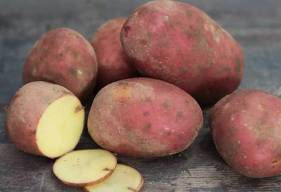 Pommes de Terre Désirée (cuisson vapeur, gratins, purée, soupe et velouté, frites et chips)