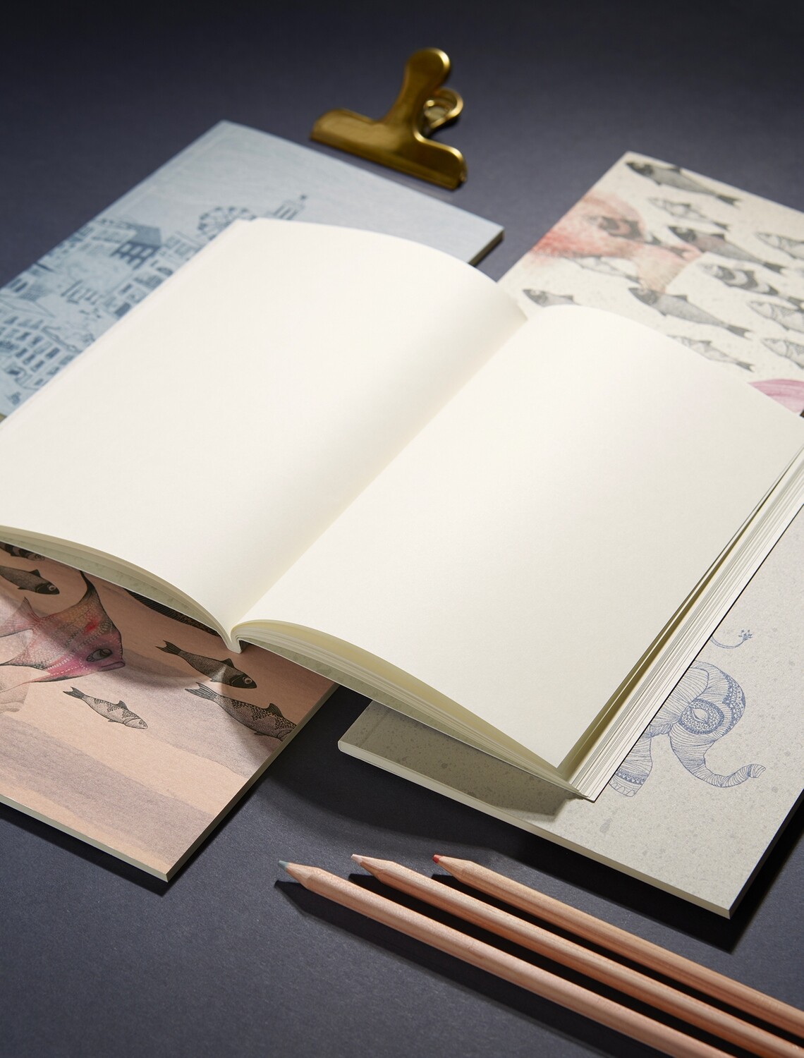 Notebook Africa