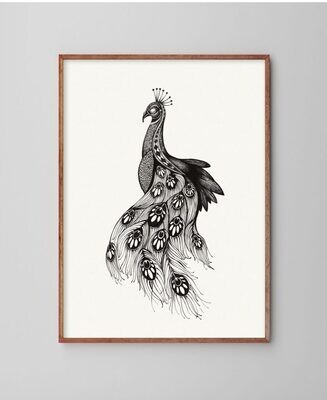 Poster Peacock