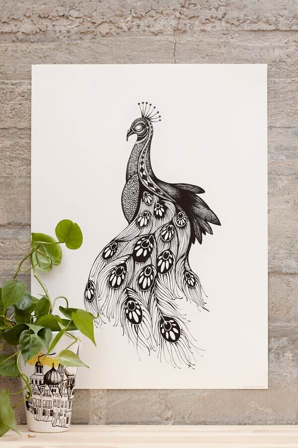 Poster Peacock