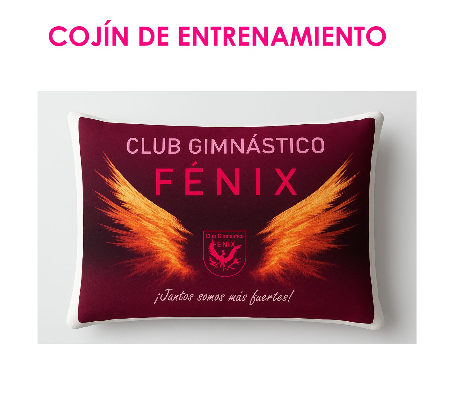 COJÍN DE ENTRENAMIENTO FÉNIX