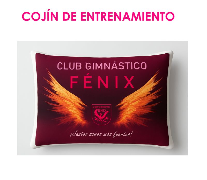 COJÍN DE ENTRENAMIENTO FÉNIX