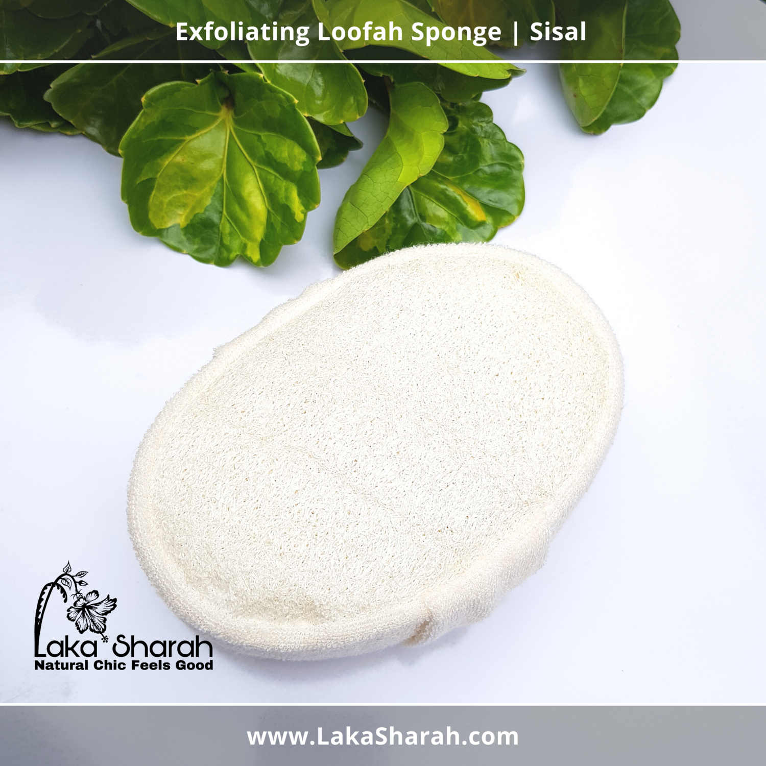 Exfoliating Loofah Sponge