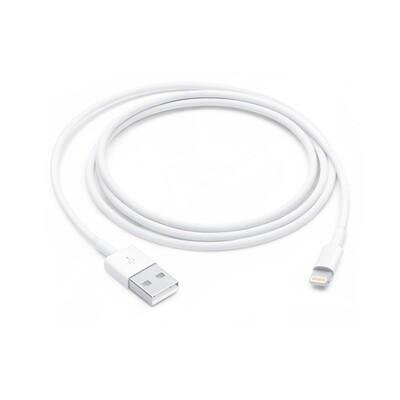 Apple 1 meter Lightning charging cable