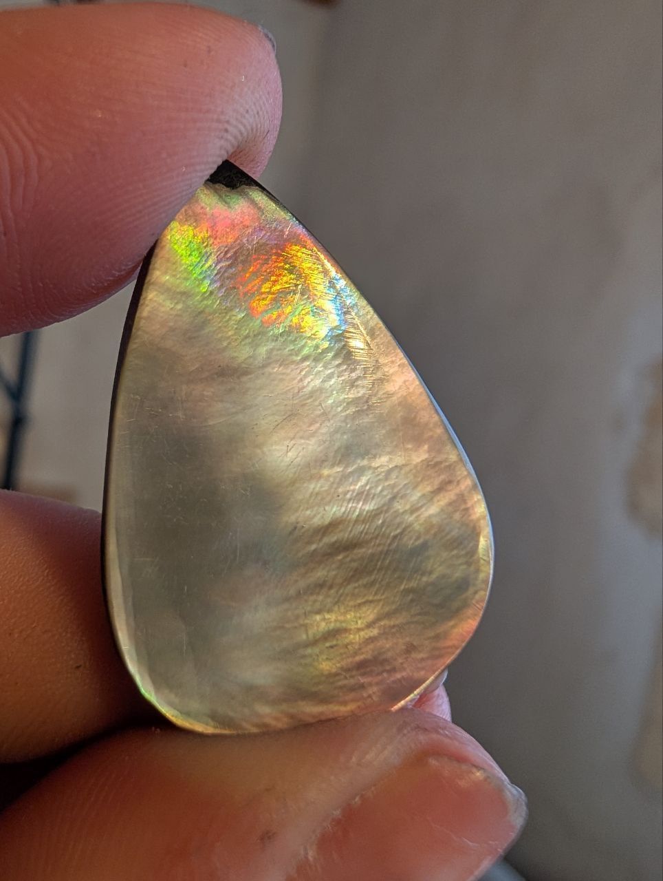 Cabochon - MOP Nacre