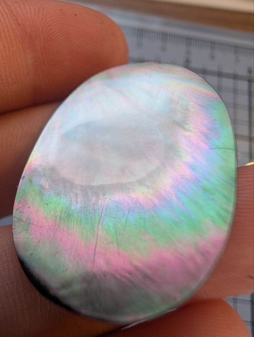 Cabochon - MOP Nacre