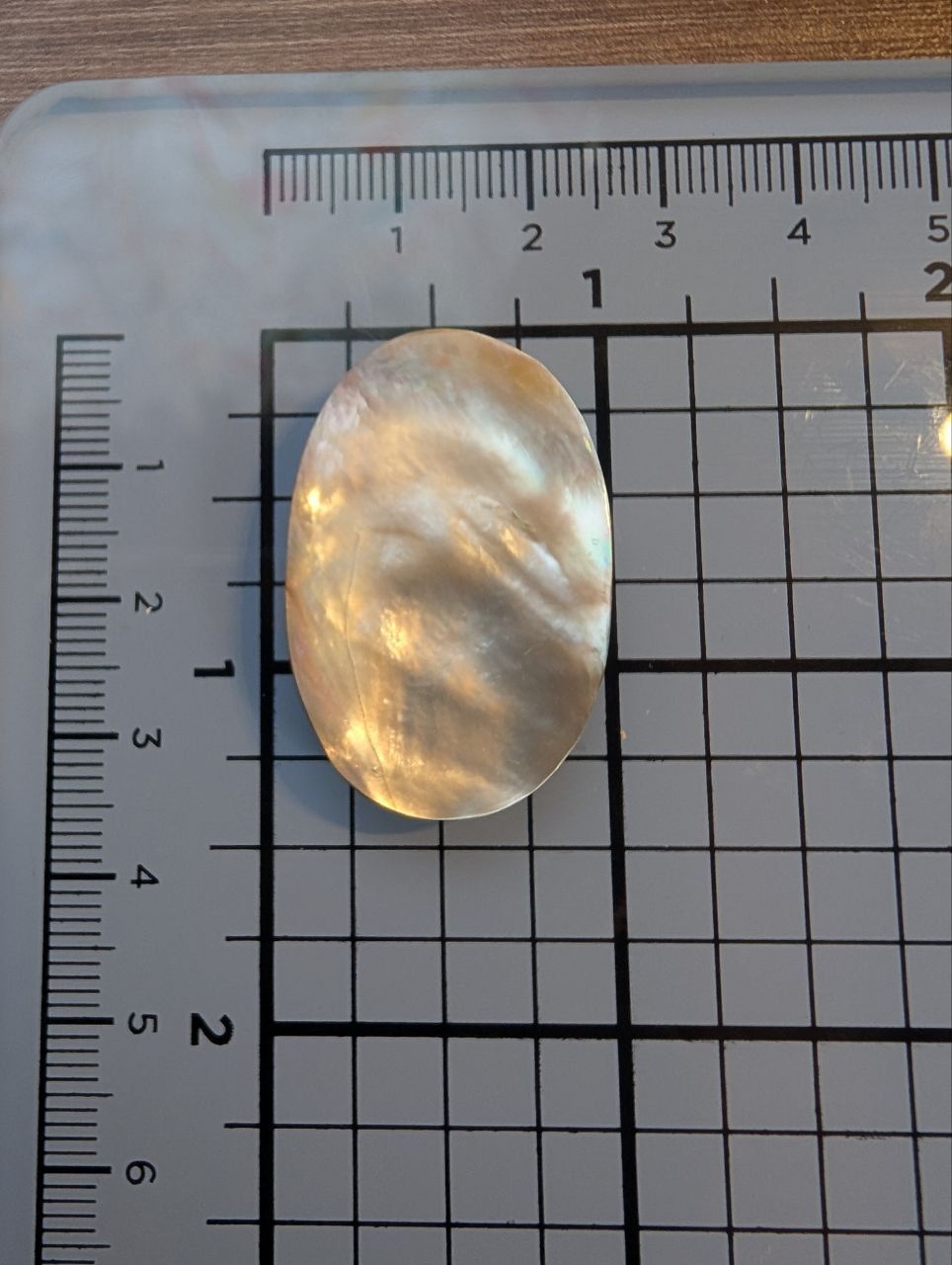 Cabochon - MOP Nacre