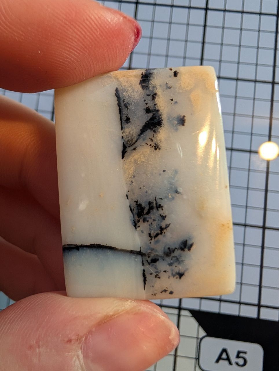 Cabochon - Opale dendritique